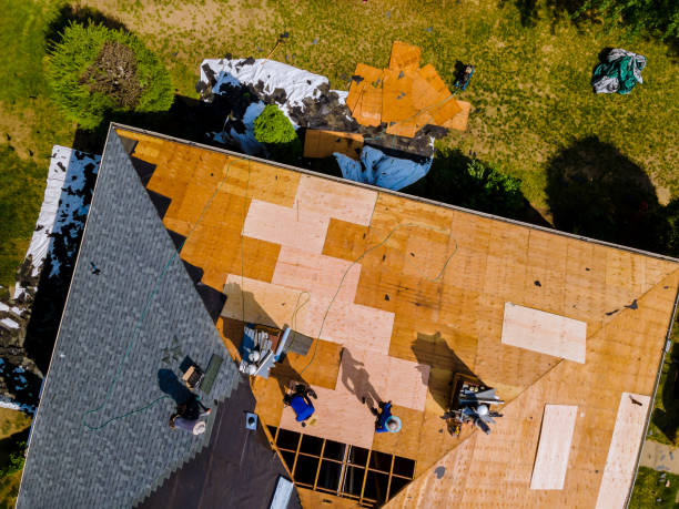 Best Shingle Roofing Installation  in London, CA