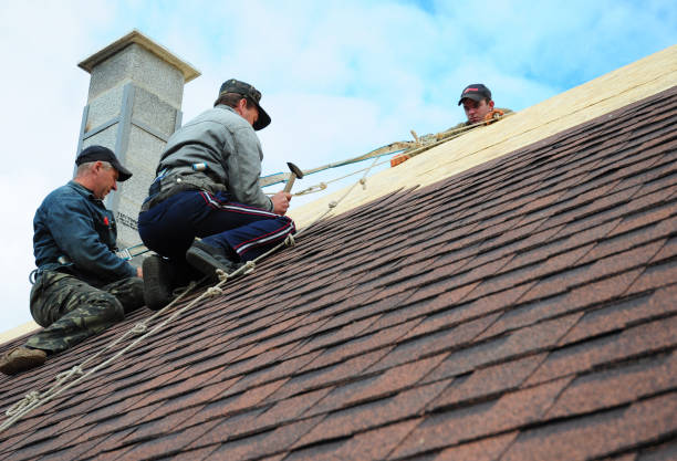 Best Local Roofing Companies  in London, CA