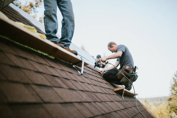 Quick and Trustworthy Emergency Roof Repair Services in London, CA